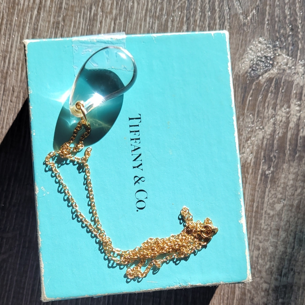 Tiffany&co necklace